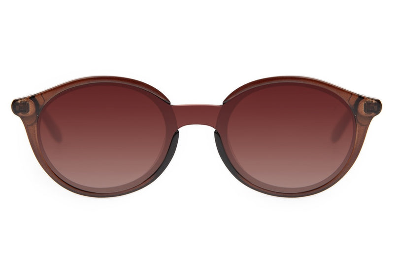 SUNGLASSES - OCCL4432