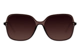 SUNGLASSES - OCCL3832
