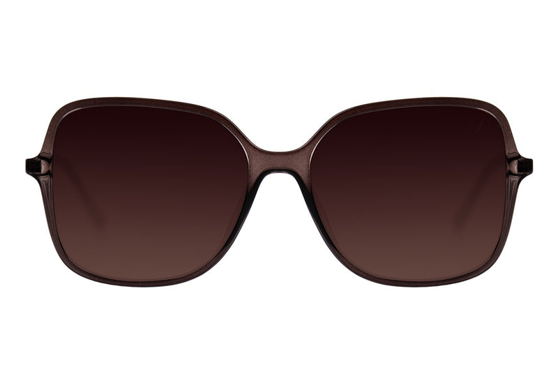 SUNGLASSES - OCCL3832