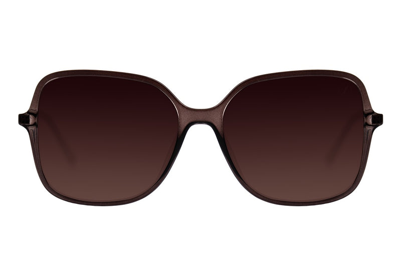 SUNGLASSES - OCCL3832