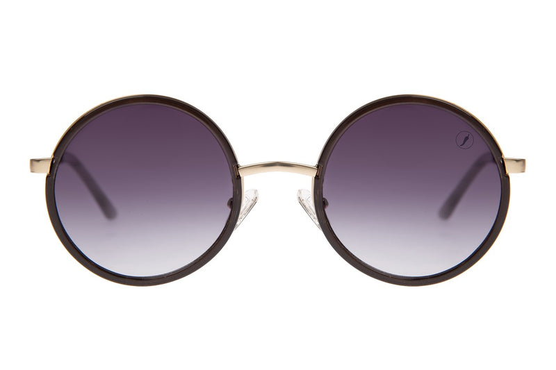 SUNGLASSES - OCCL4242