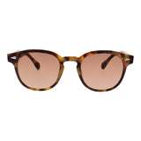 SUNGLASSES - OCCL5881