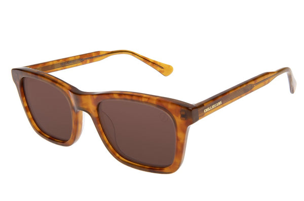 SUNGLASSES - OCCL4300