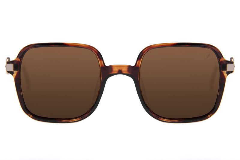 SUNGLASSES - OCCL4173