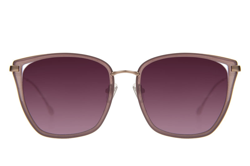 SUNGLASSES - OCCL4625