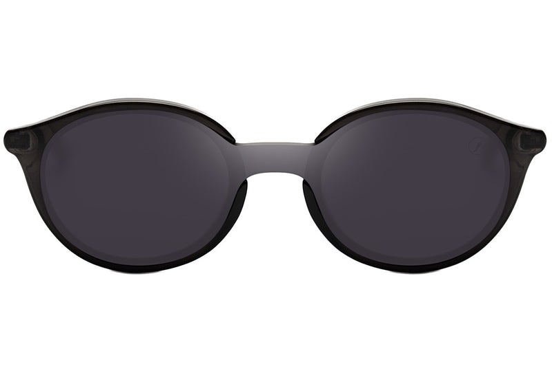 SUNGLASSES - OCCL4432