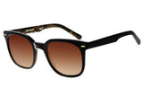 SUNGLASSES - OCCL4094