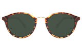 SUNGLASSES - OCCL3941