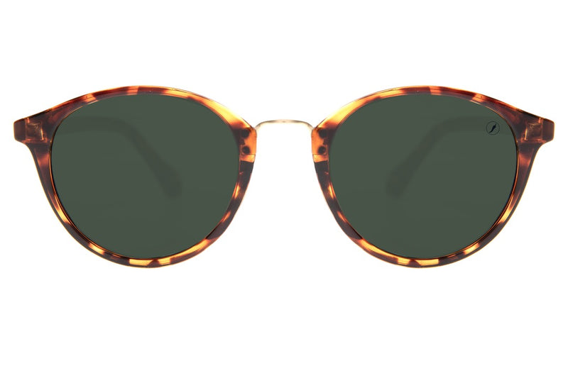 SUNGLASSES - OCCL3941