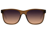 SUNGLASSES - OCCL3786