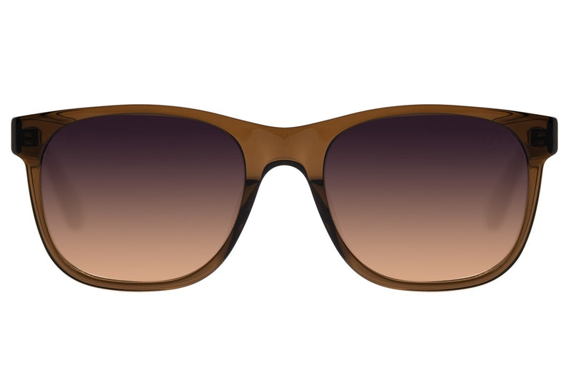 SUNGLASSES - OCCL3786