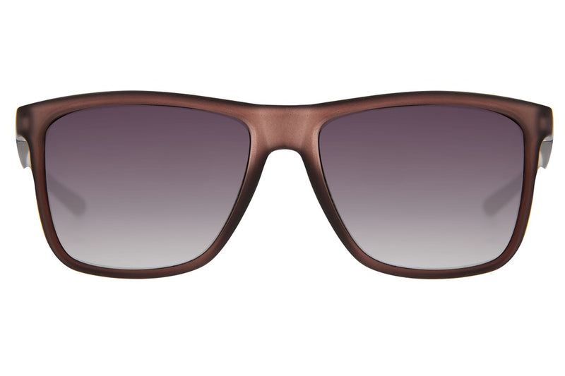 SUNGLASSES - OCCL4046