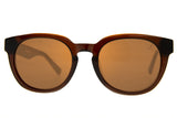 SUNGLASSES - OCCL4499