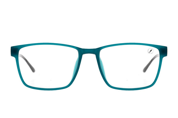 OPTICAL GLASSES - LVIJ0356