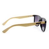 SUNGLASSES - OCCL3611
