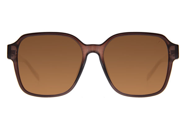 SUNGLASSES - OCCL4478