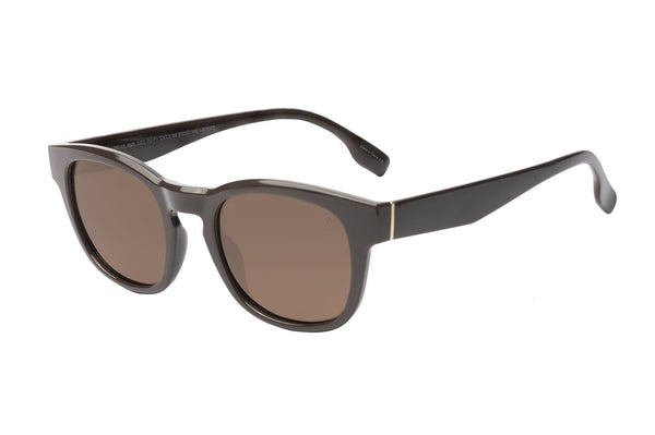 SUNGLASSES - OCCL4686