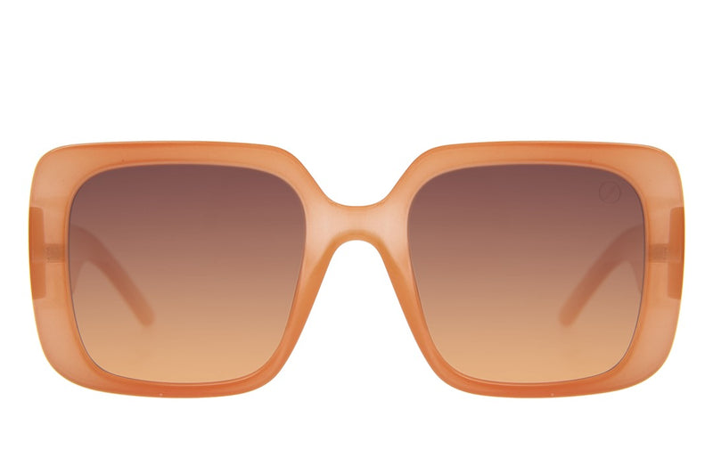 SUNGLASSES - OCCL4600