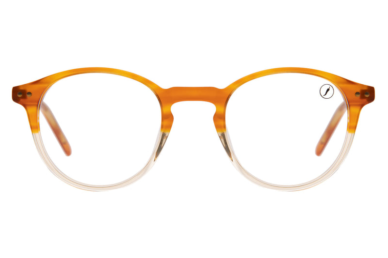 OPTICAL GLASSES - LVAC0749
