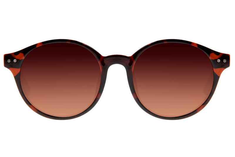 SUNGLASSES - OCCL3557