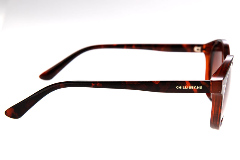 SUNGLASSES - OCCL3557