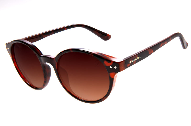 SUNGLASSES - OCCL3557