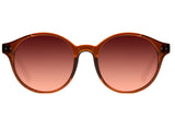 SUNGLASSES - OCCL3557