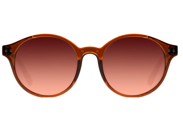 SUNGLASSES - OCCL3557