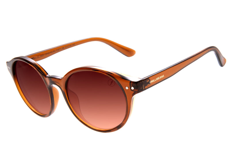 SUNGLASSES - OCCL3557