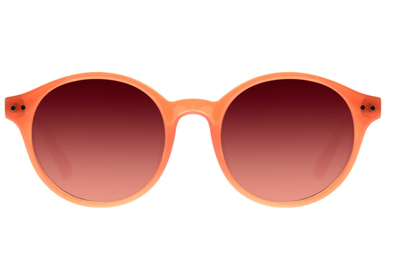 SUNGLASSES - OCCL3557