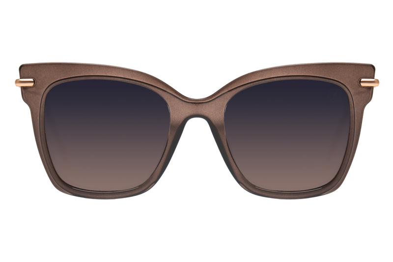 SUNGLASSES - OCCL3604