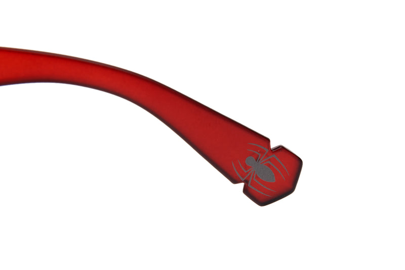 SUNGLASSES - OCCL3863