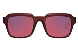 SUNGLASSES - OCCL3863