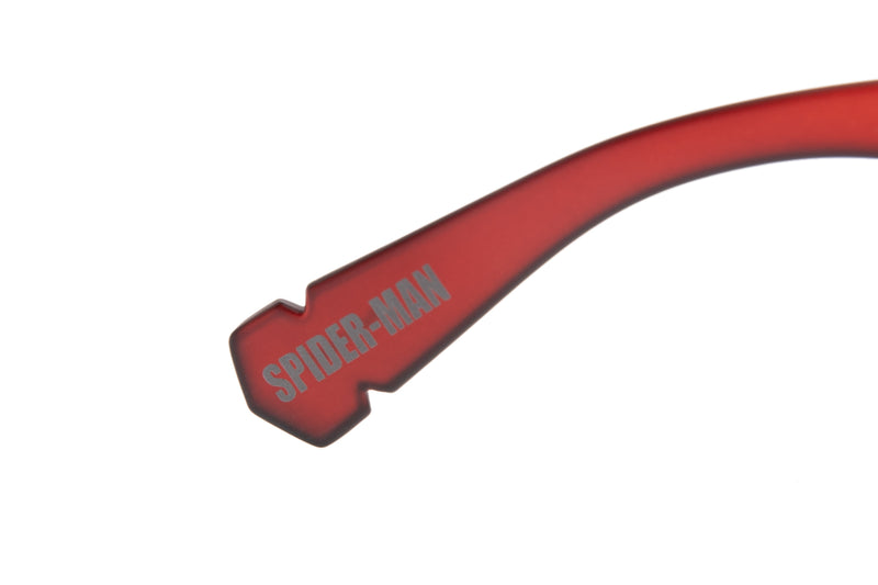 SUNGLASSES - OCCL3863