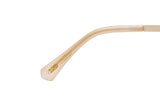 SUNGLASSES - OCCL3959