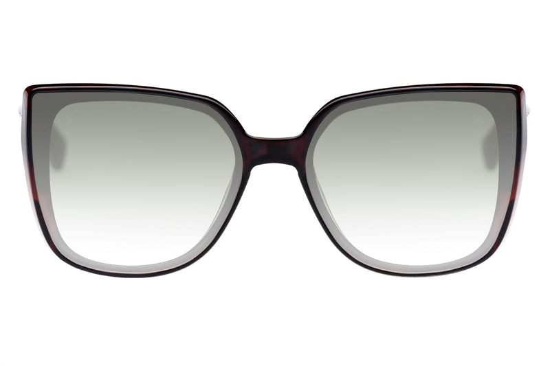 SUNGLASSES - OCCL3970