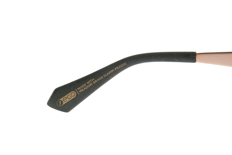 SUNGLASSES - OCCL3977
