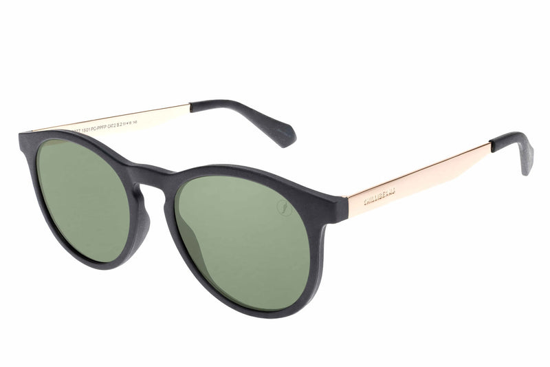SUNGLASSES - OCCL3977