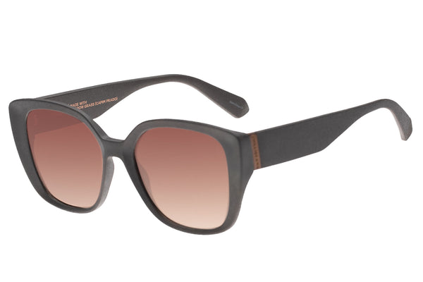 SUNGLASSES - OCCL3978