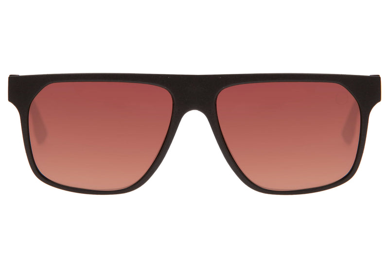 SUNGLASSES - OCCL3982