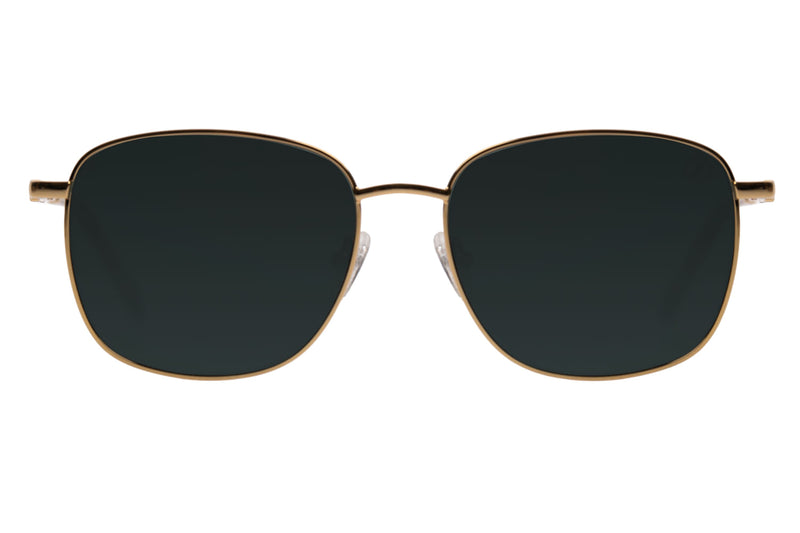 SUNGLASSES - OCMT3581