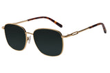 SUNGLASSES - OCMT3581