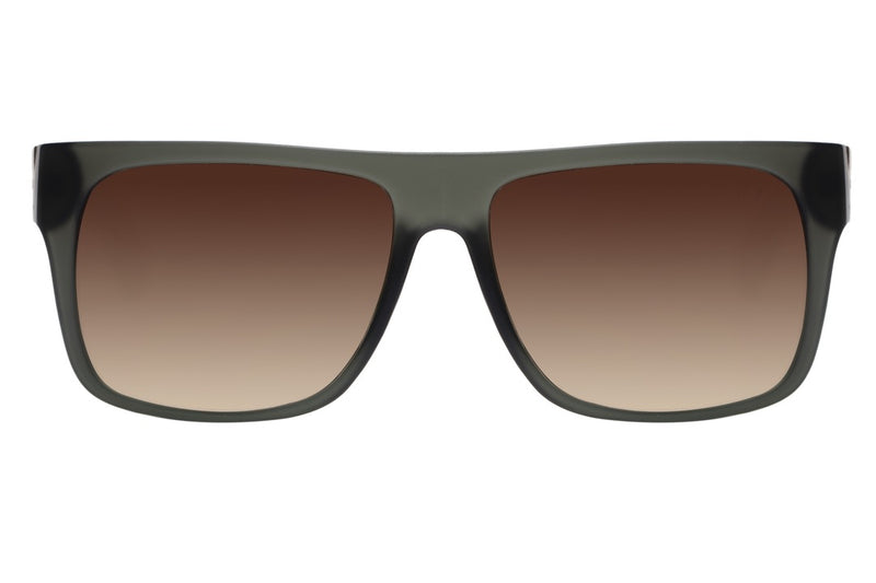 SUNGLASSES - OCCL3658