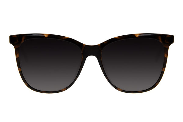 SUNGLASSES - OCCL4383
