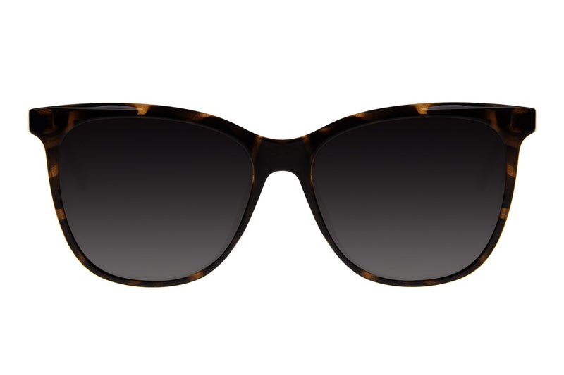 SUNGLASSES - OCCL4383