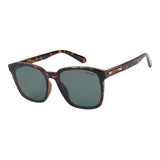 SUNGLASSES - OCCL5643