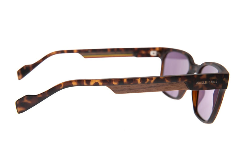 SUNGLASSES - OCCL4461