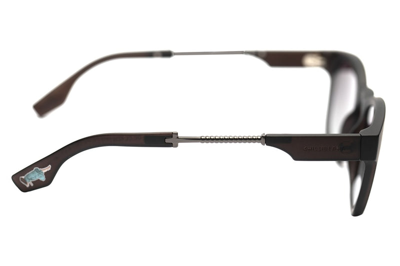 SUNGLASSES - OCCL4230
