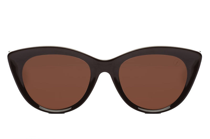 SUNGLASSES - OCCL4260