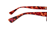 SUNGLASSES - OCCL4189